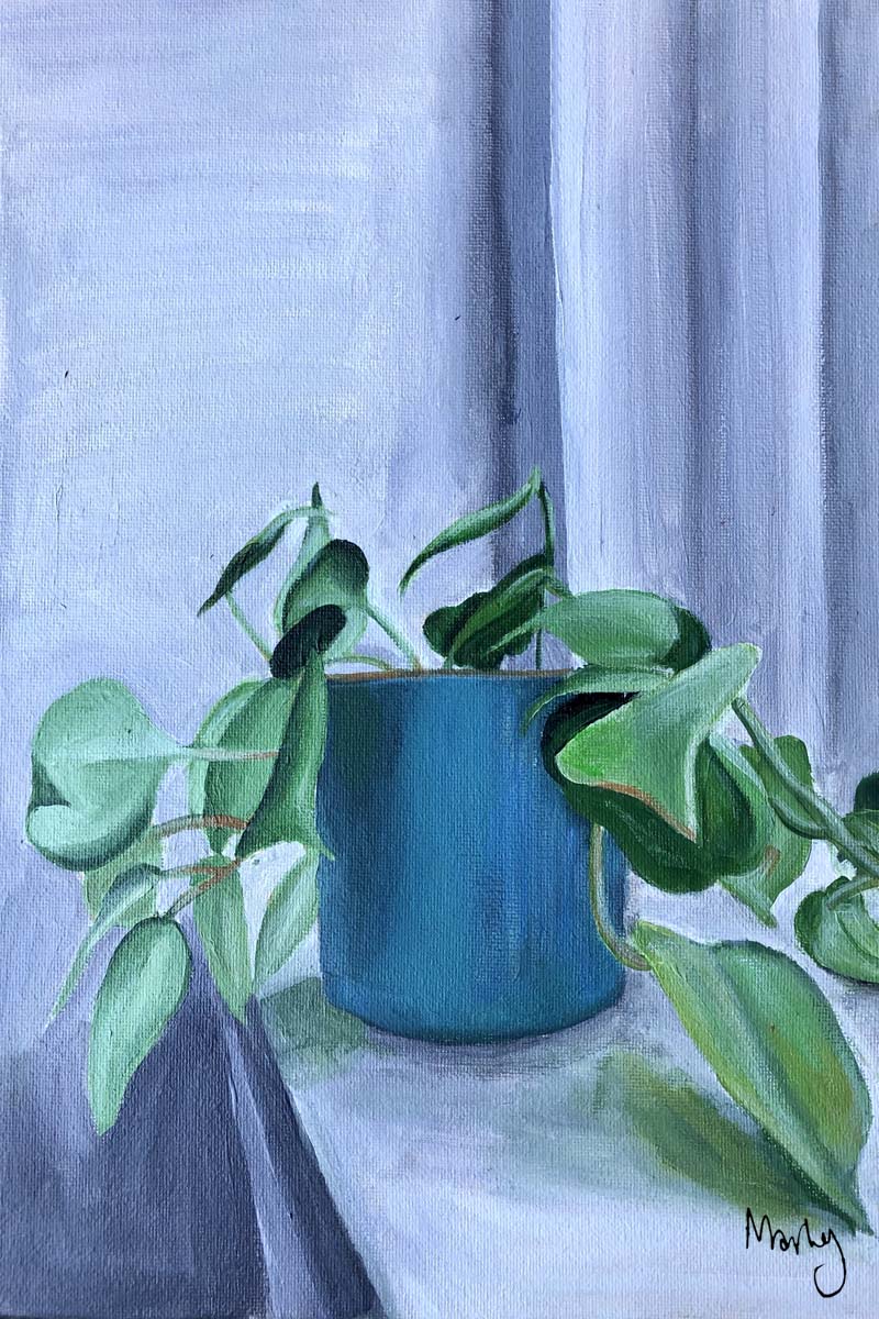 Plant on the window sill in a blue pot.